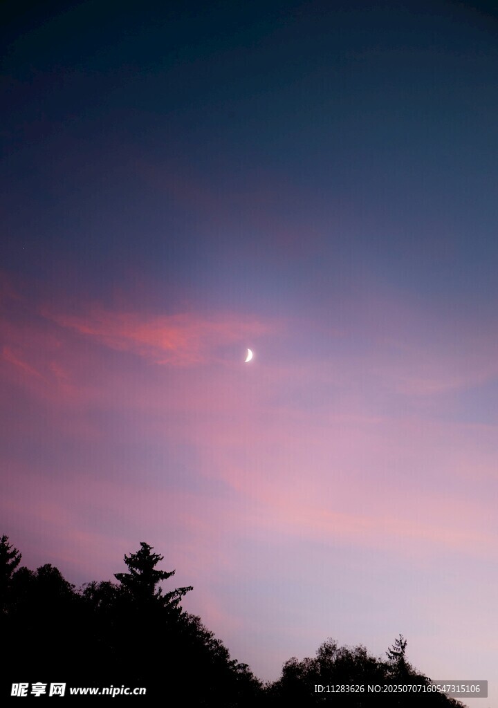 夜幕下的月与山林美景