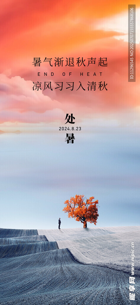 海边落日下的孤独树木处暑节气