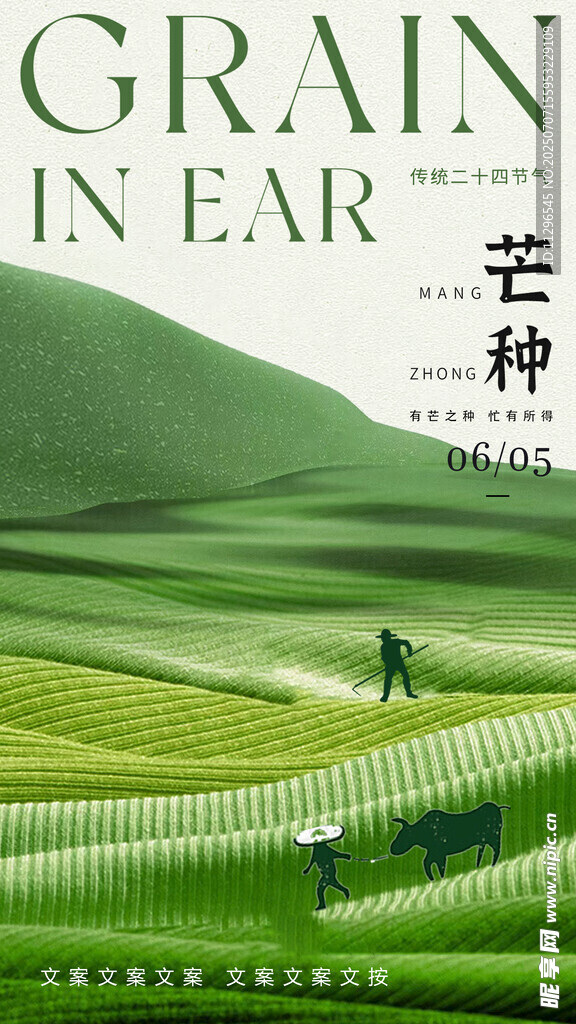 芒种时节的田园风光