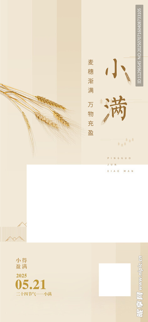 简约中式风小满节气海报