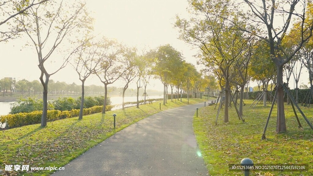 林间漫步道好风光