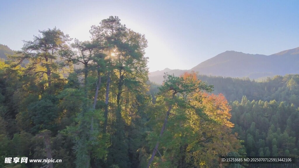 山林晨光美景