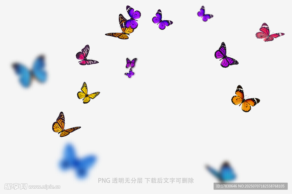 彩蝶纷飞图