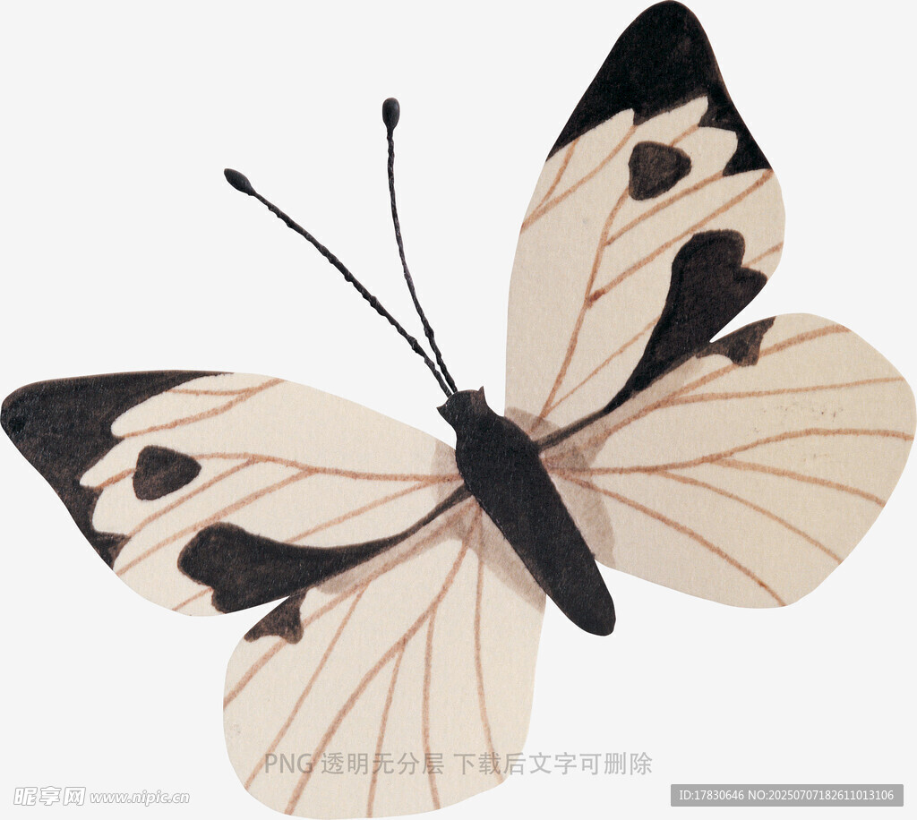 简约风格黑白花纹蝴蝶图