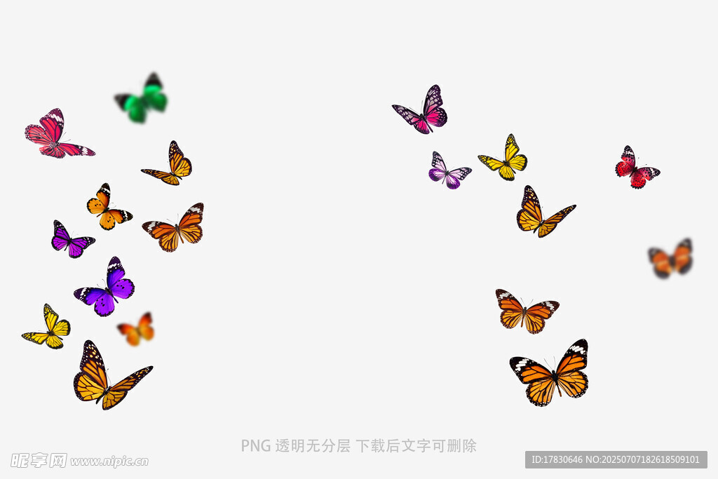 多彩蝴蝶飞舞画面
