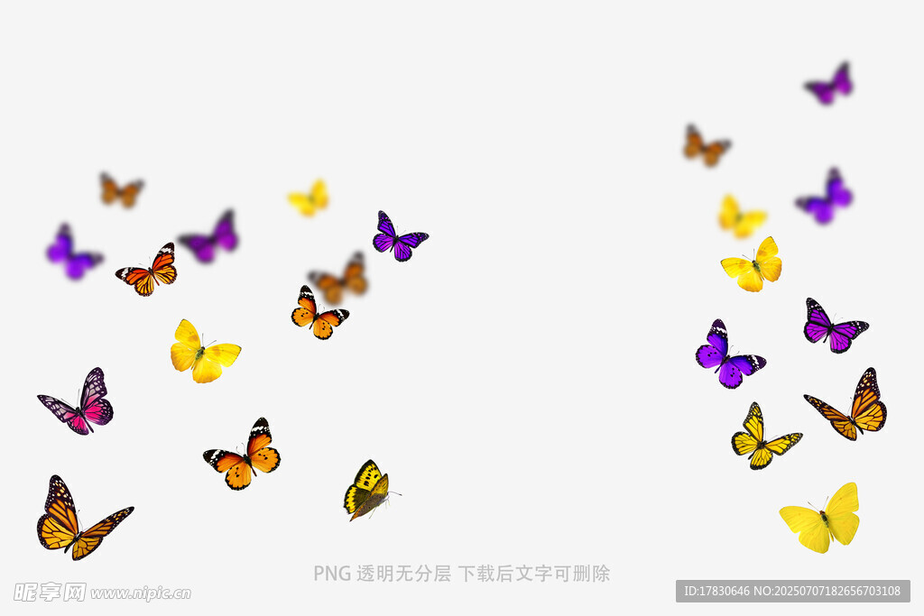彩蝶纷飞图