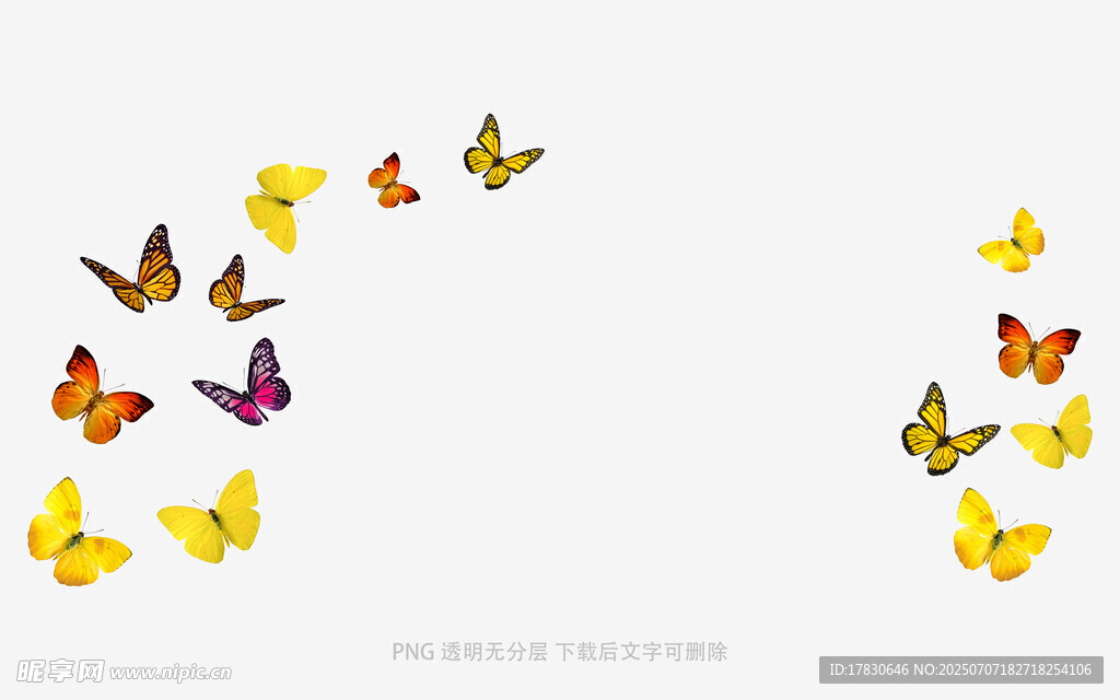 群蝶飞舞图