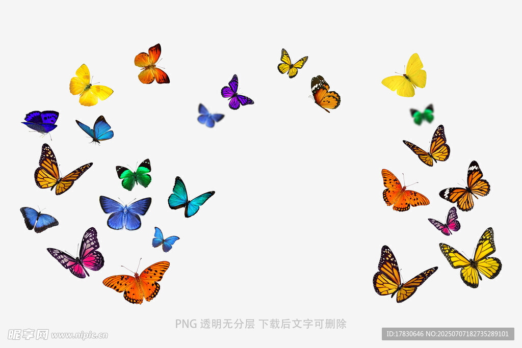 多彩蝴蝶环绕飞舞