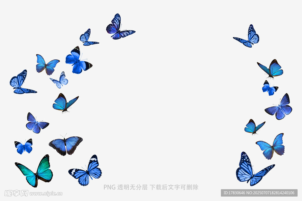 飞舞的蓝色蝴蝶群