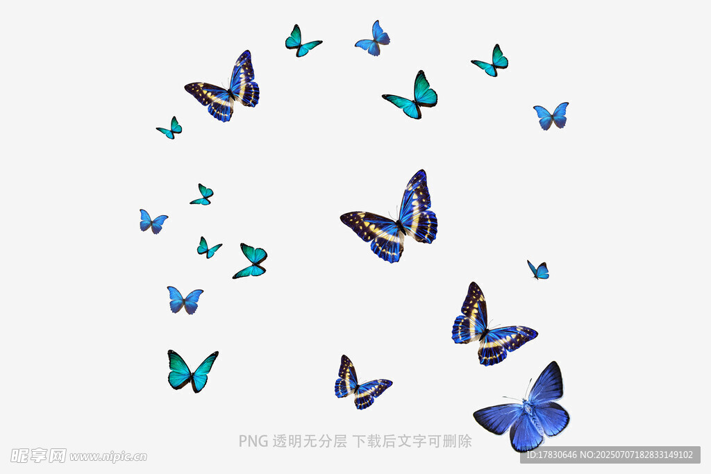 飞舞的多彩蝴蝶
