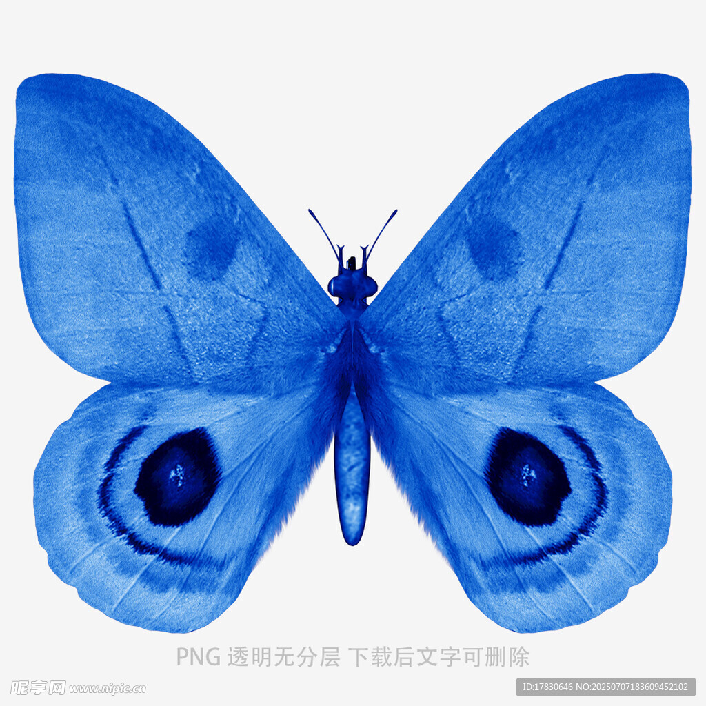 蓝色蝴蝶水彩画