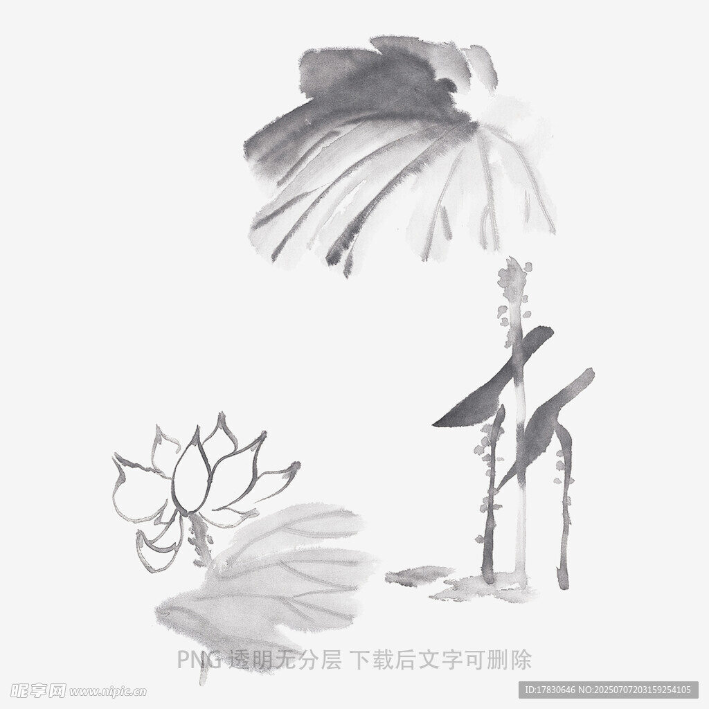 水墨荷花写意画
