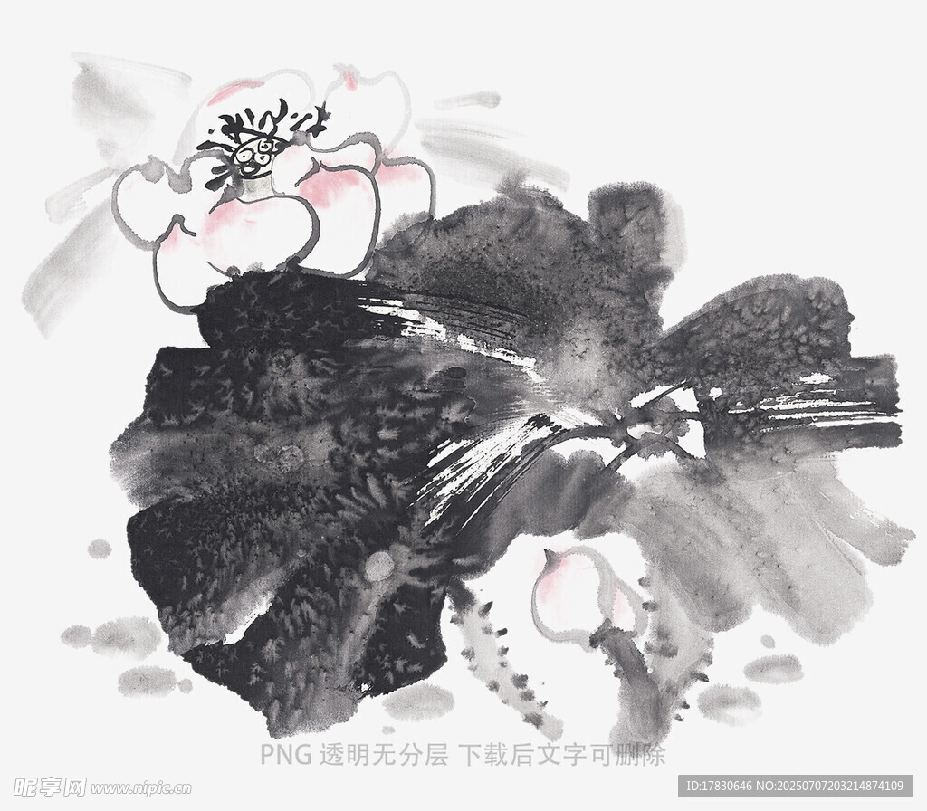 水墨荷花图