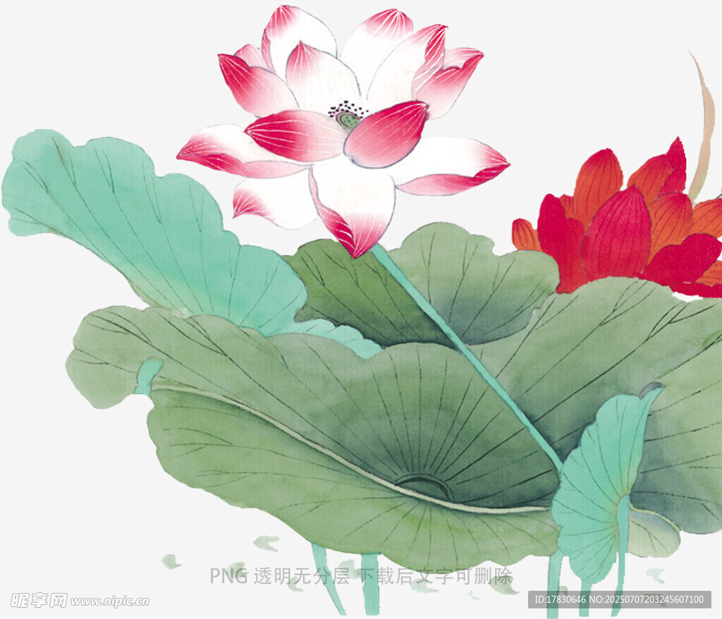 水墨荷花图