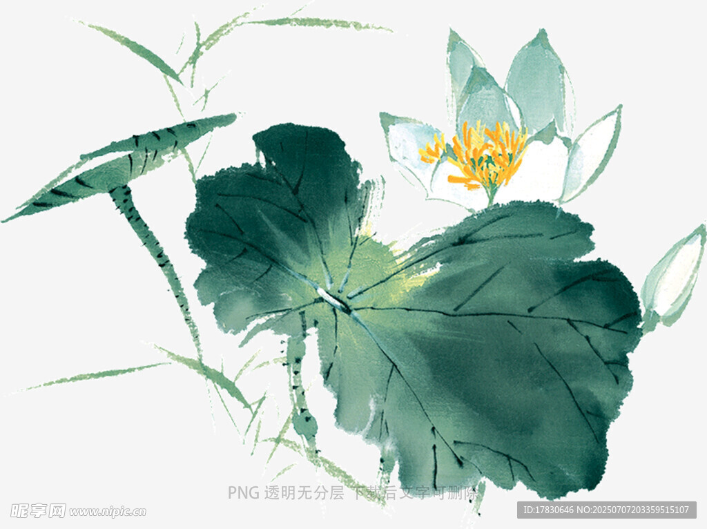 水墨荷花图