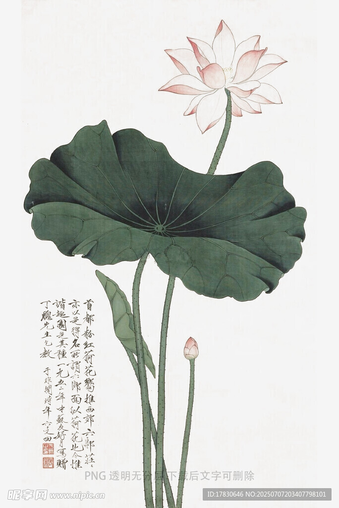 水墨荷花图