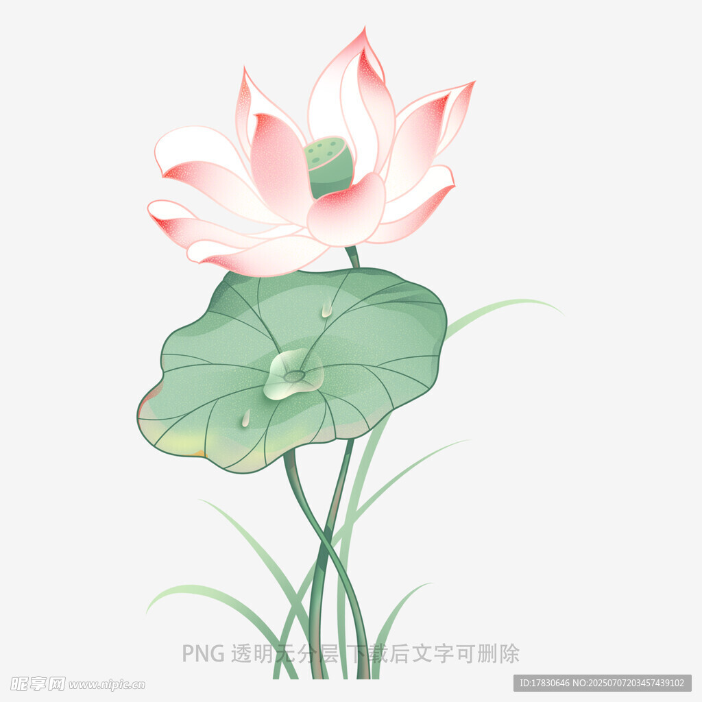 水墨风盛开荷花图
