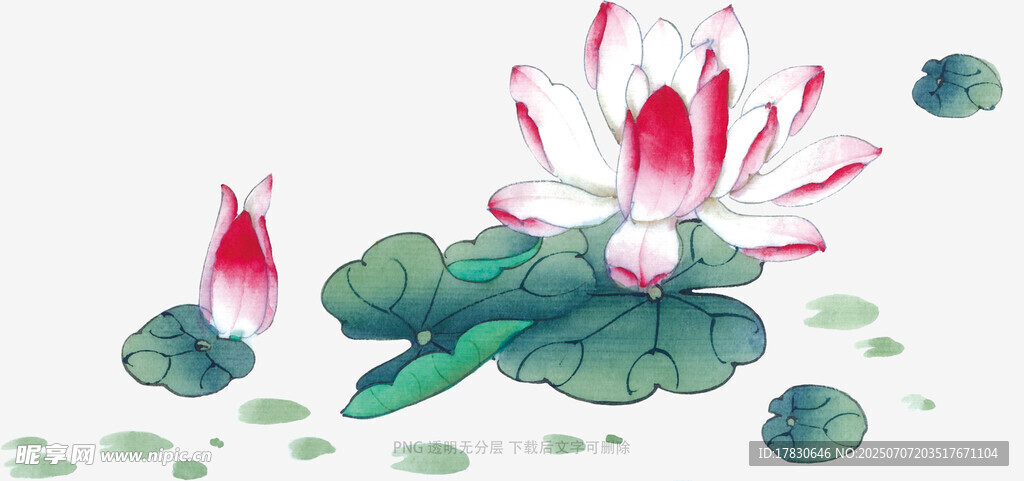 水墨荷花图