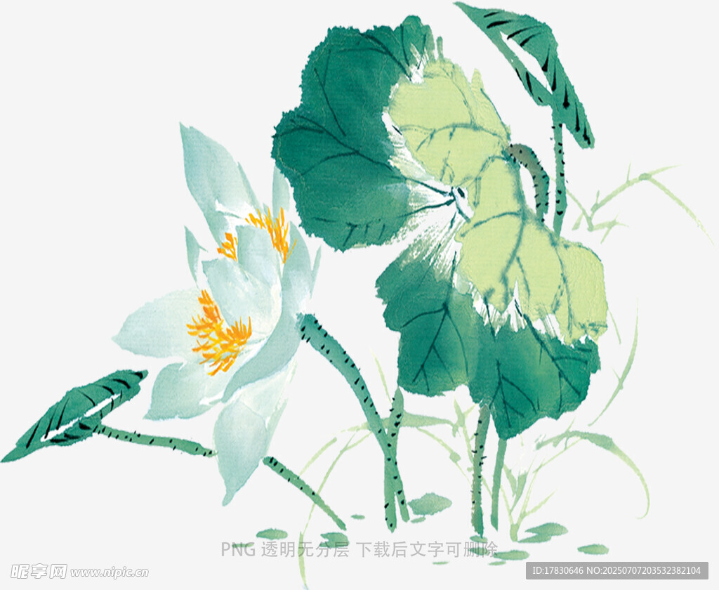 水墨风荷花插画