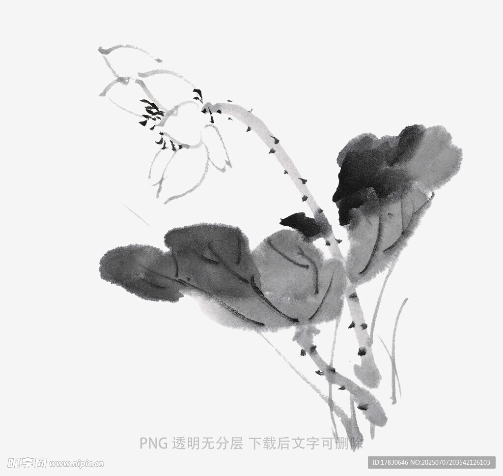 水墨荷花写意画
