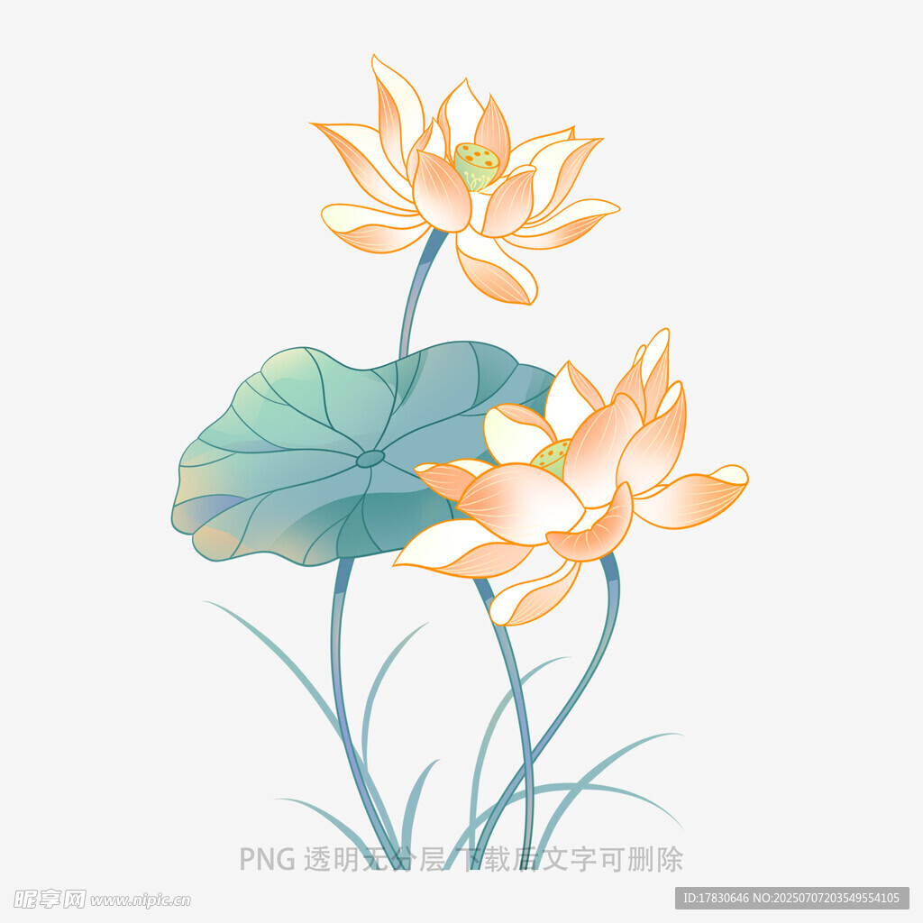 水墨风盛开荷花插画