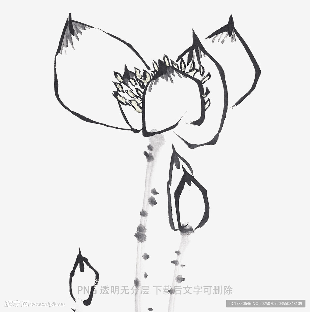 水墨风莲花线条画