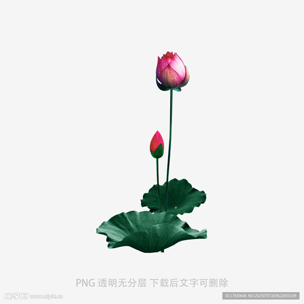 两朵荷花雕塑摆件