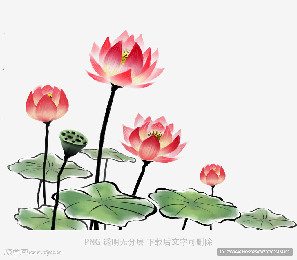 水墨荷花图