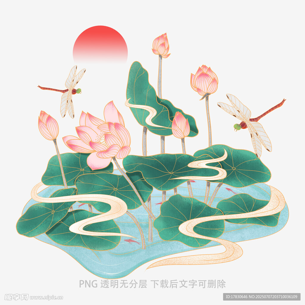 夏日荷塘蜻蜓飞舞图景