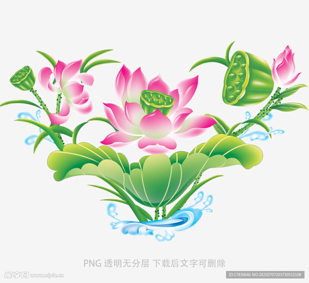 手绘清新荷花插画图案