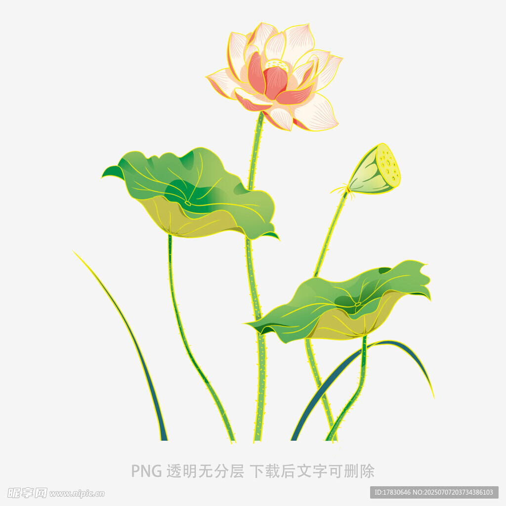 水墨风荷花插画