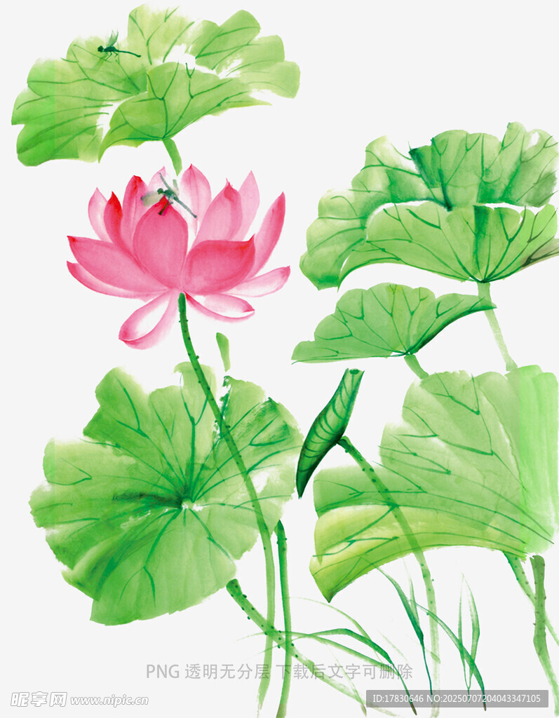 水墨荷花图