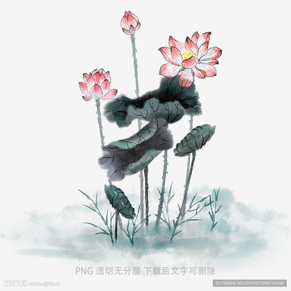 水墨荷花图