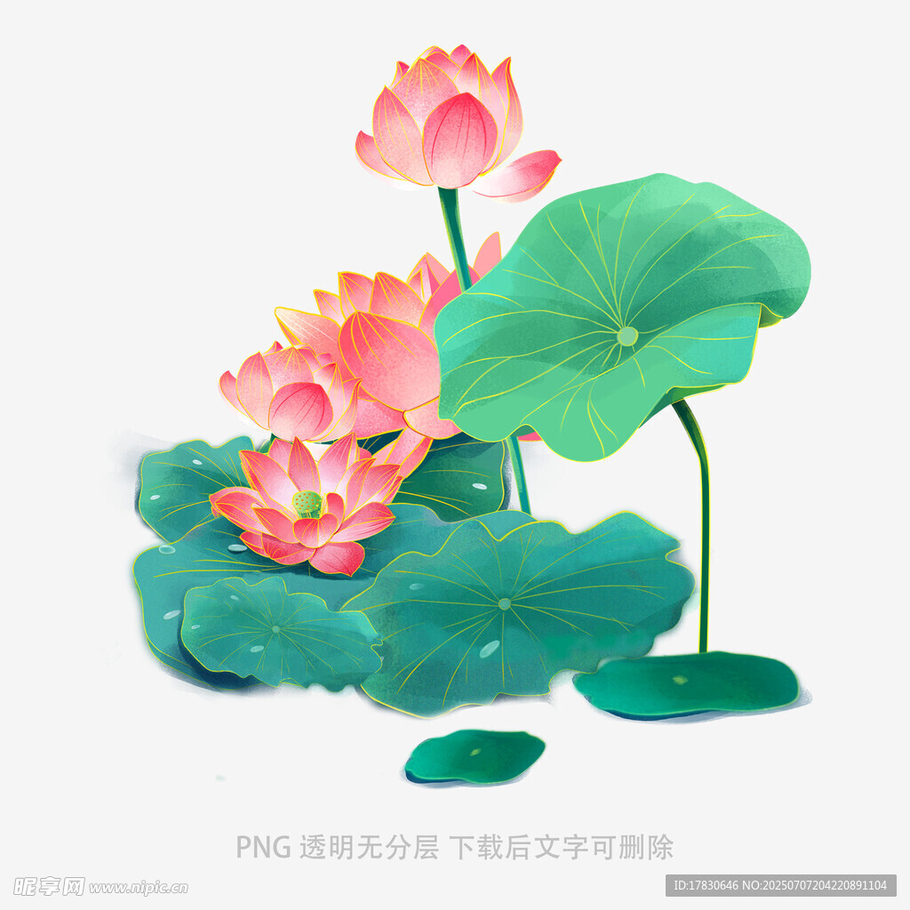 水墨风荷花荷叶插画