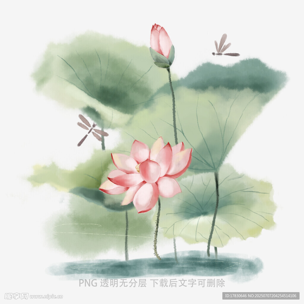 水墨荷花蜻蜓图