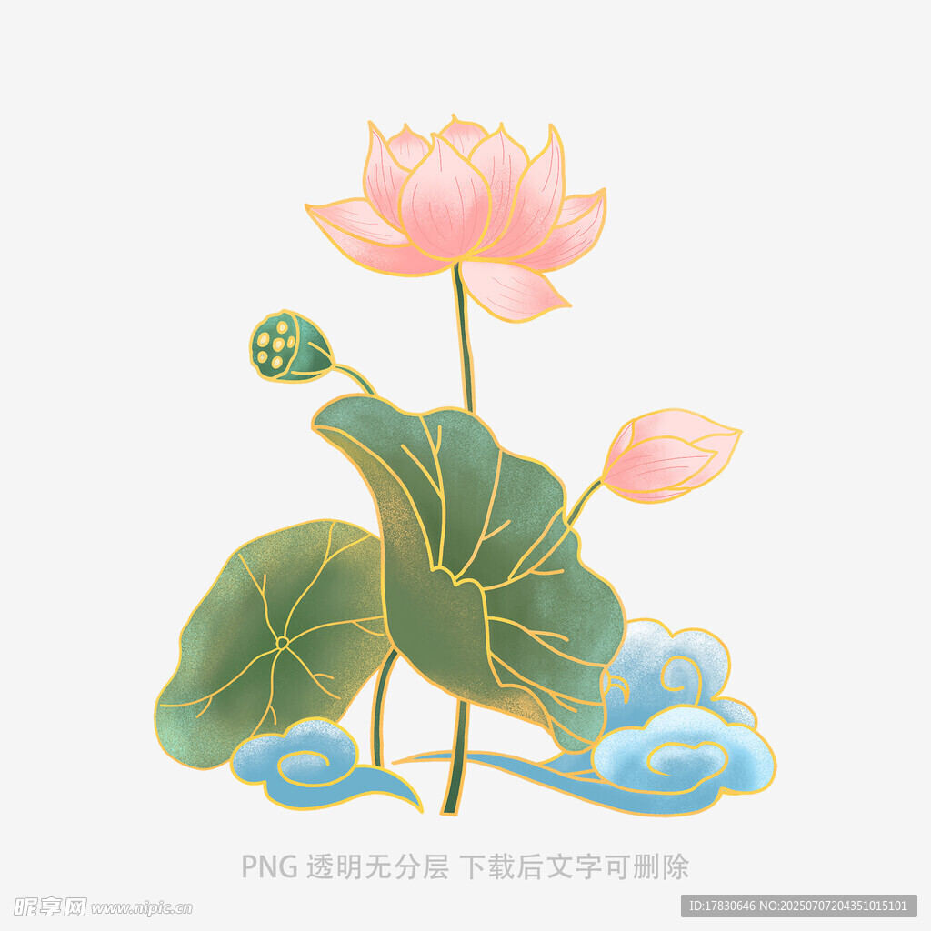 手绘荷花荷叶插画