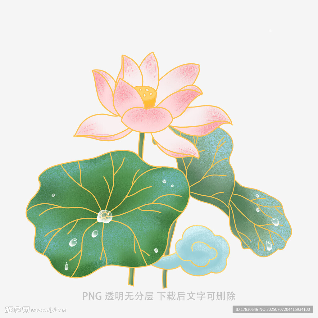 手绘清新荷花与荷叶图案