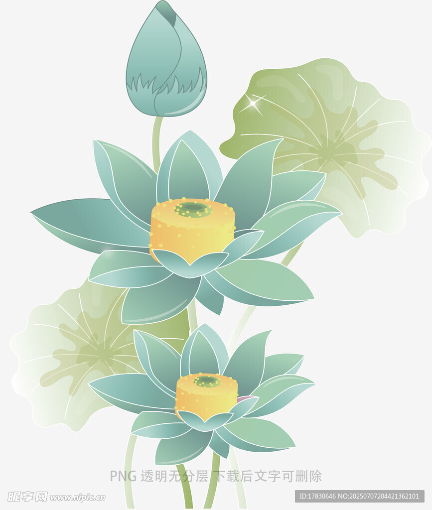 清新手绘风荷花插画