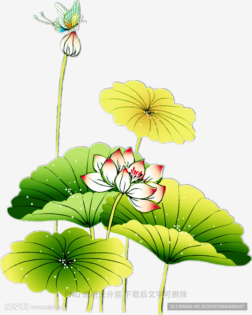 水墨荷花蜻蜓图