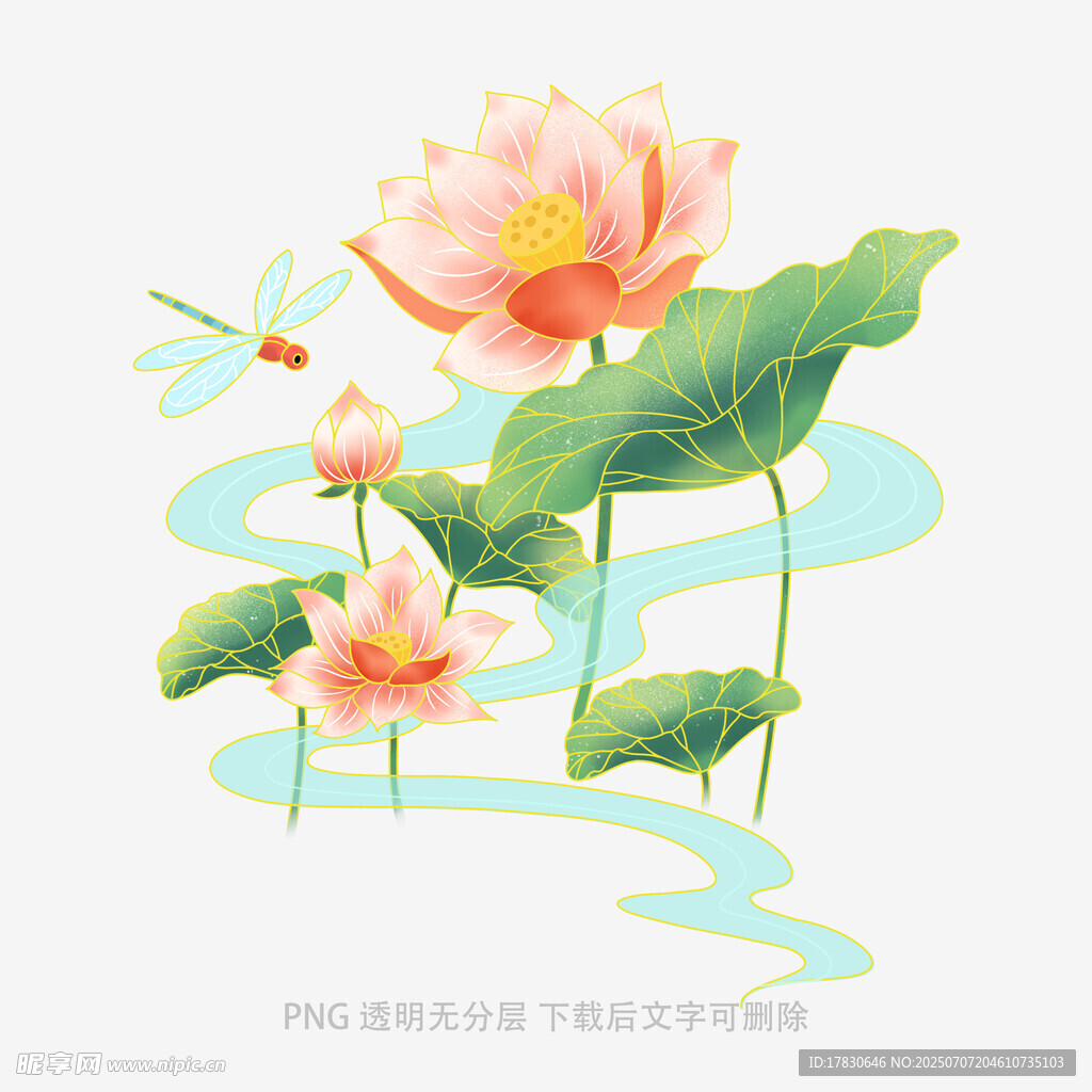 夏日荷花蜻蜓插画