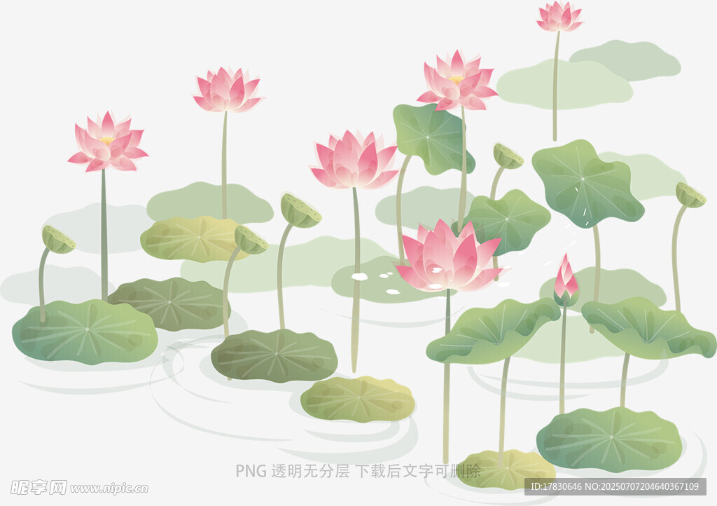 水墨风荷花荷叶插画