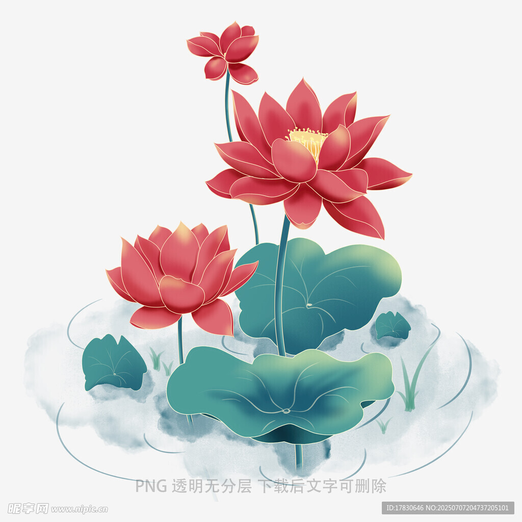 水墨风绽放的娇艳荷花