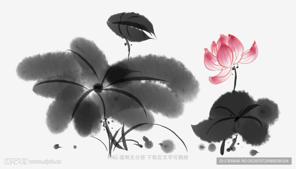 水墨荷花图