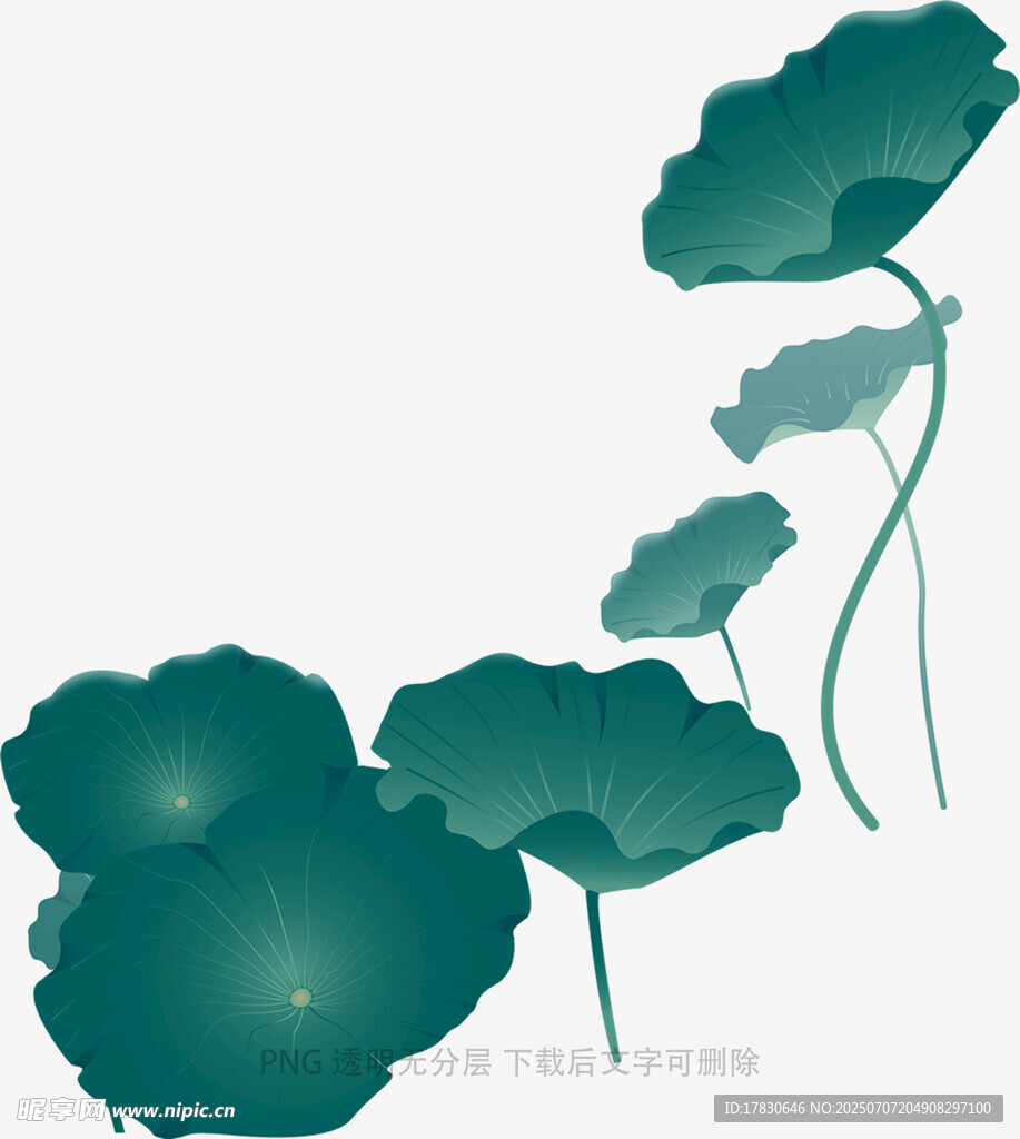 水墨风荷叶插画