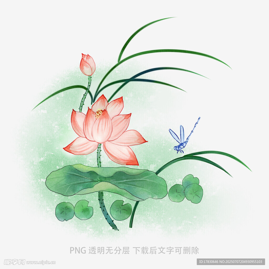水墨荷花蜻蜓图