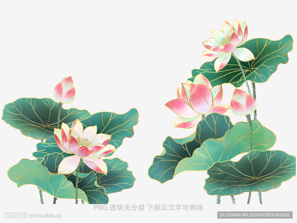 水墨风荷花荷叶插画