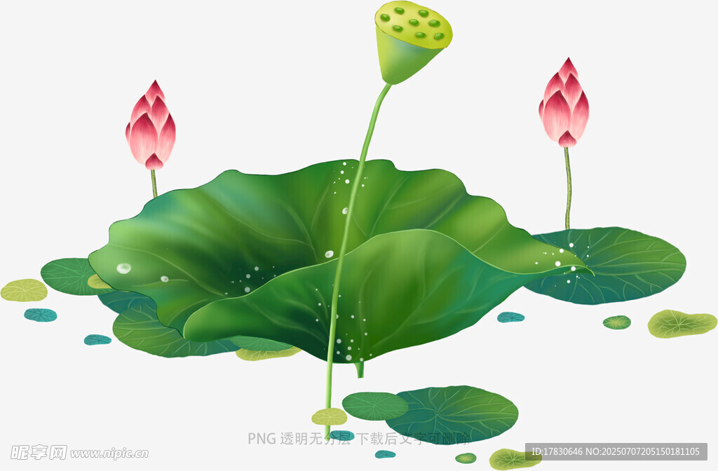 水墨风荷塘荷叶荷花图