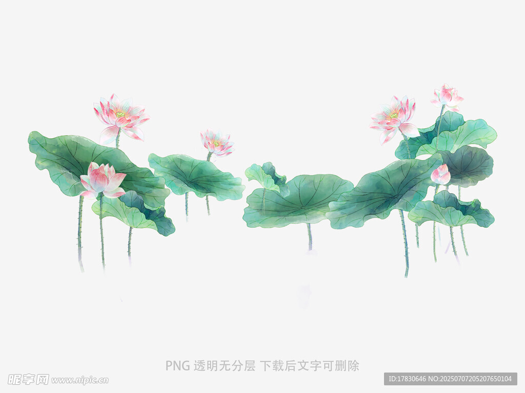 水墨风荷花荷叶插画