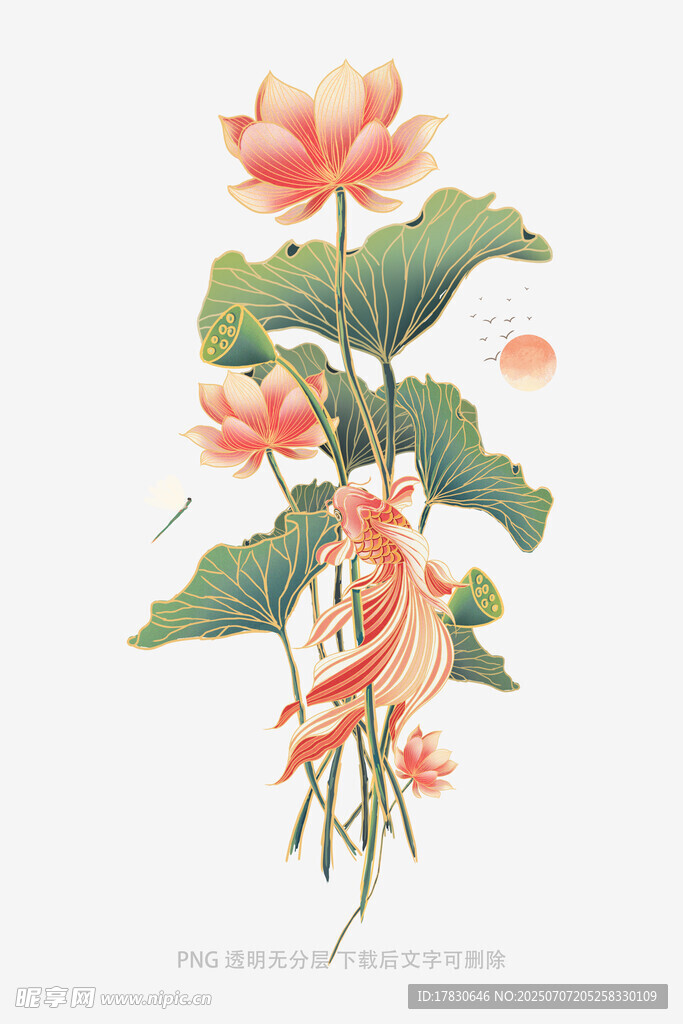 莲花