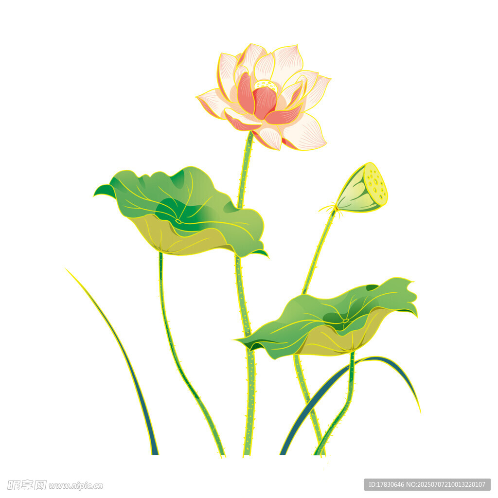 水墨风荷花插画
